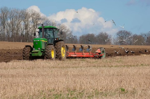 John Deere 4255 tractor pulling Kverneland plough followed by Black-headed Gull and rook flock