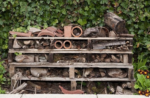 'Insect Hotel' habitat creation on primary school premises