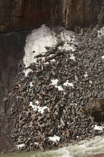 Basalt rocks