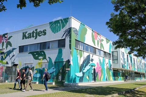 Katjes