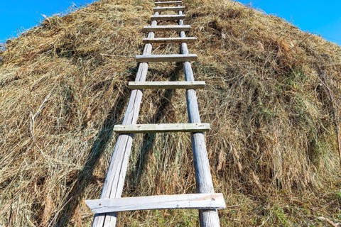 Ladder on a haystack
