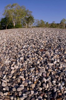 Pebble beach with trees in the background