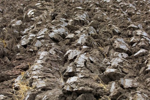 Close-up of furrows in newly ploughed field