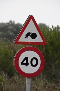 Road signs