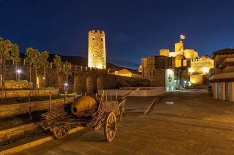 Rabati Castle
