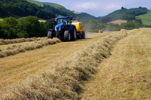 Contractor with New Holland T7040 tractor and New Holland big baler baling hay on organic farm
