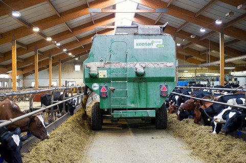 Dairy farming