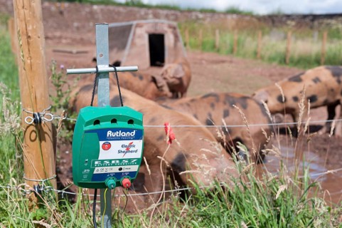 Pig farming
