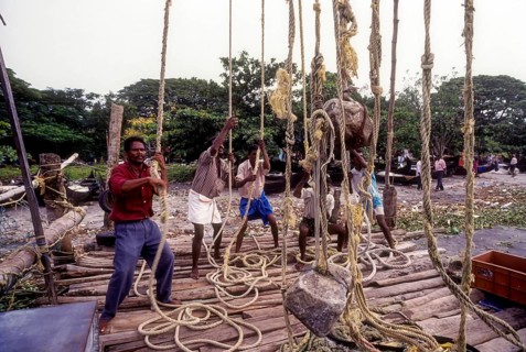 Operating the Chinese fishing nets or Cheena vala in Fort Kochi or Cochin