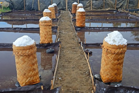 Sea salt harvested and packed for drying