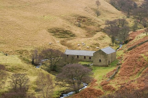 Moorland valley with stream