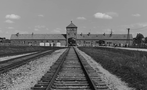 Tracks