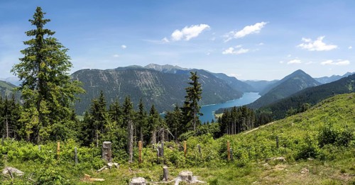 View from the Naggler Alm to the Weissensee