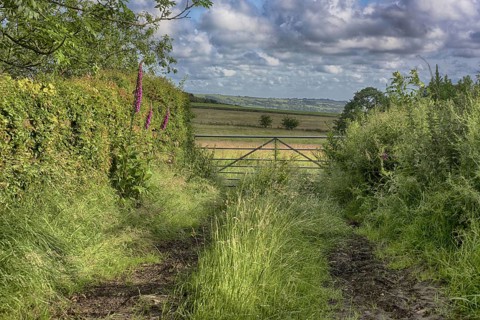 Track and metal gate at field entrance