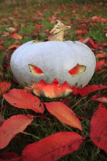 Pumpkin