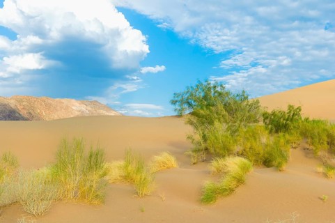 Singing Dunes