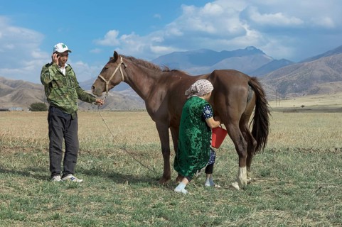 Kazakh man with mobile phone and Kazakh woman milking a mare