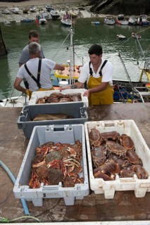 Crab fishing