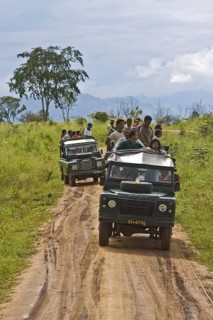 Tourist visit to Udawalawe National Park