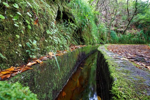 Right levada trail