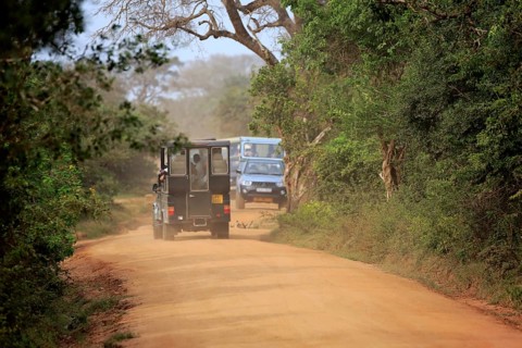 Safari vehicle