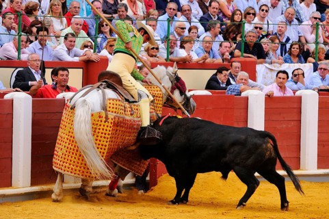 Bullfight