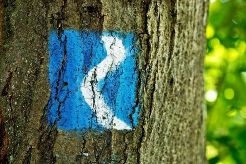 Rheinsteig hiking trail