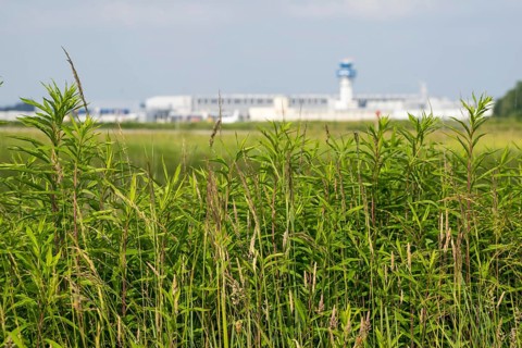 View of Cologne/Bonn Airport