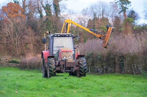 Massey Ferguson with flail cutter