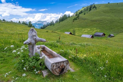 Wooden drinking trough on the Postalm in the Salzkammergut