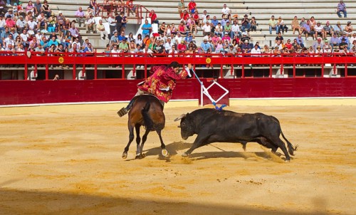 Bullfighting