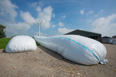 Whole wheat in ag bags on the farm