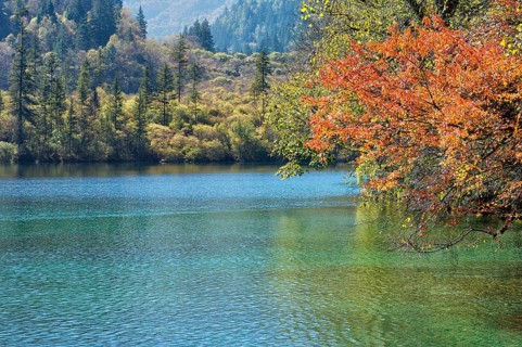 Panda Lake