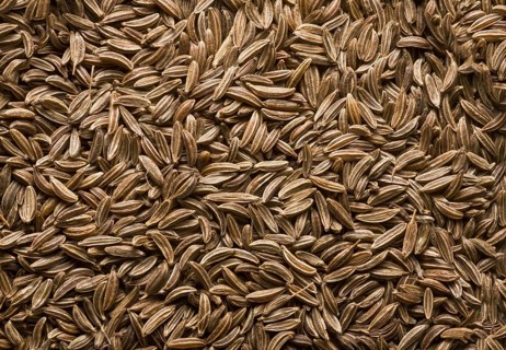 Caraway