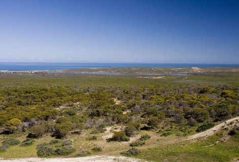 View of coastal semi-desert habitat and sea