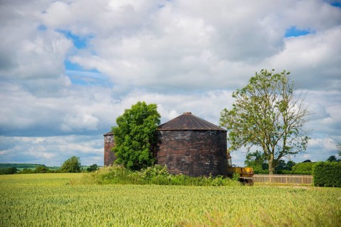 View of corrugated iron grain bins and Wheat