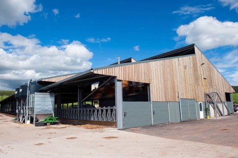 Dairy farming