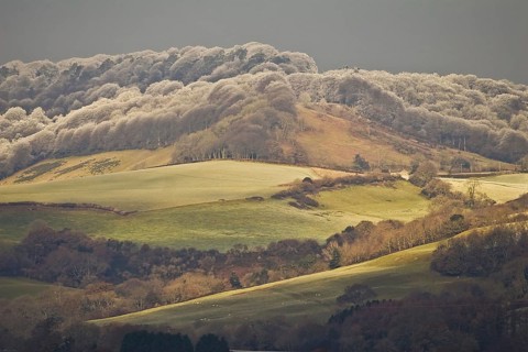 View of farmland with rime frost on trees of hilltop forest