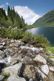 River cascades flowing into montane lake