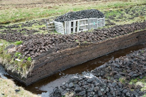 Turf