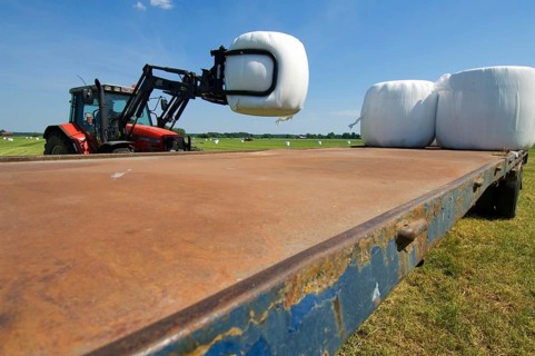 Plastic wrapped round silage bales stacked on trailer with mechanical loader