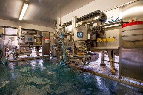 Dairy farming