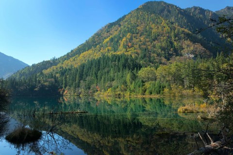 Arrow Bamboo Lake