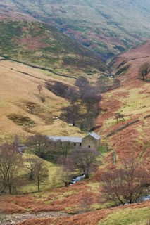 Moorland valley with stream