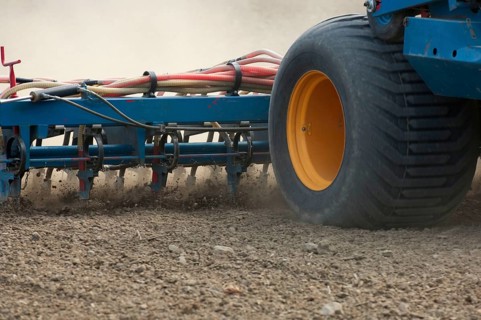 Close-up of a seeder
