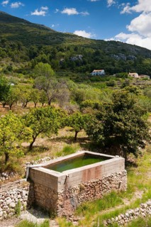 Water reservoir for almond and citrus orchards