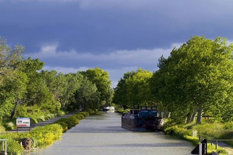 Barges on a stretch of canal lined with plane trees