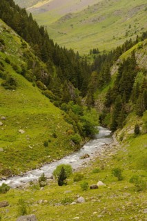 View of mountain valley stream habitat