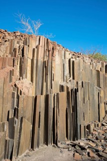 Organ pipes
