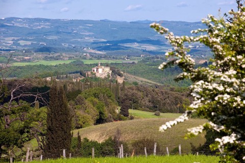 Tuscany with mediterranean cypress